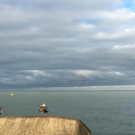 In With Stunning Sea Views, Cleaning Included Oostende